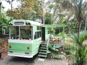 Jungle Bus, 5 min drive to PlayaLinda, 15 to Dominical, Wifi Starlink